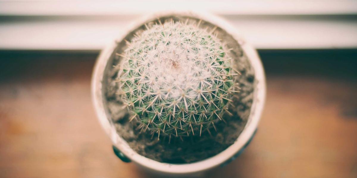 how to leverage exit traffic for conversions - How To Leverage Exit Traffic For Conversions Content