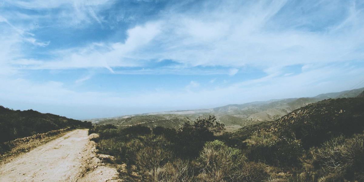 what exit traffic networks should I use? - What Exit Traffic Networks Should I Use? Content